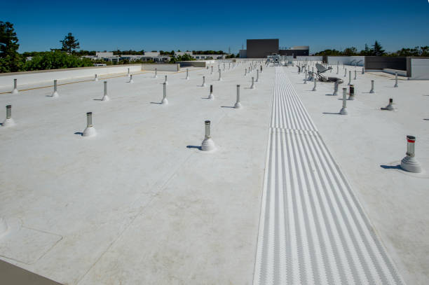 Best Metal Roofing Installation  in New California, OH